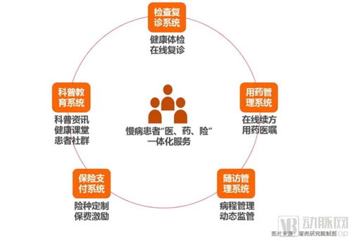從107家互聯(lián)網(wǎng)醫(yī)院數(shù)據(jù)洞察服務(wù)創(chuàng)新模式與未來發(fā)展路徑